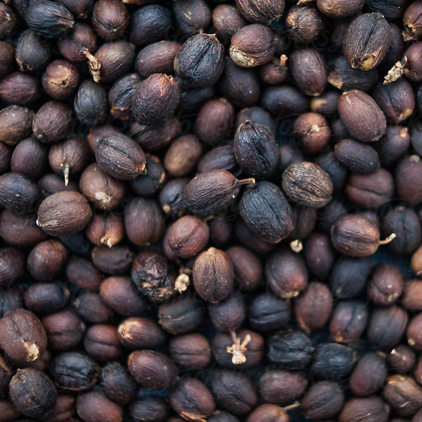 "Coffee Beans" From The Tropical Forests of Puerto Rico!!! Honey, Arabic Medium Roast & Limited Time Pumpkin Spice.                          "Variety 3 Pack" 8 ounces Per Bag.